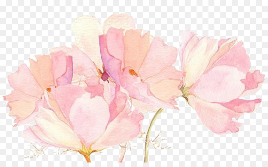900x560 Flower Drawings Watercolor Painting Pink - Watercolor Pink Flowers