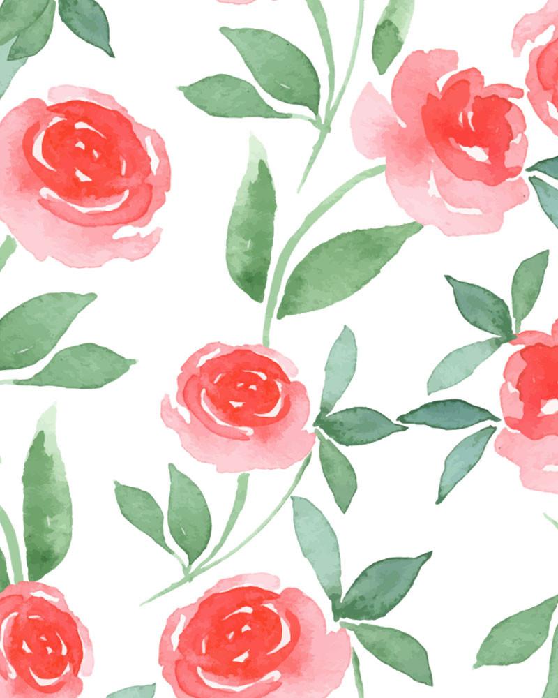 800x1000 Pink Rose Watercolor Wallpaper - Watercolor Pink Roses