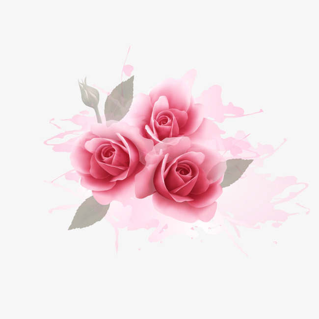 650x651 Romantic Pink Roses Watercolor Background, Watercolor Vector, Pink - Watercolor Pink Roses