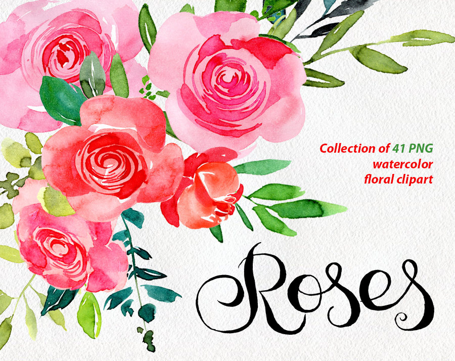 900x714 Watercolor Flower Clipart 41 Purple Red Pink Roses Flowers Etsy - Watercolor Pink Roses