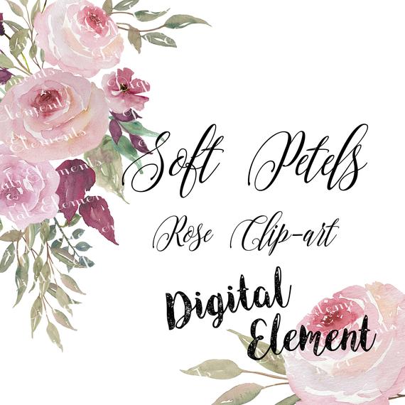 570x570 Watercolor Pink Rose Clip Art Watercolor Floral Clip Art Etsy - Watercolor Pink Roses