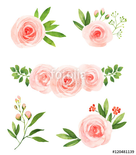 438x500 Watercolor Pink Roses Flower Illustration Elements Stock Photo - Watercolor Pink Roses