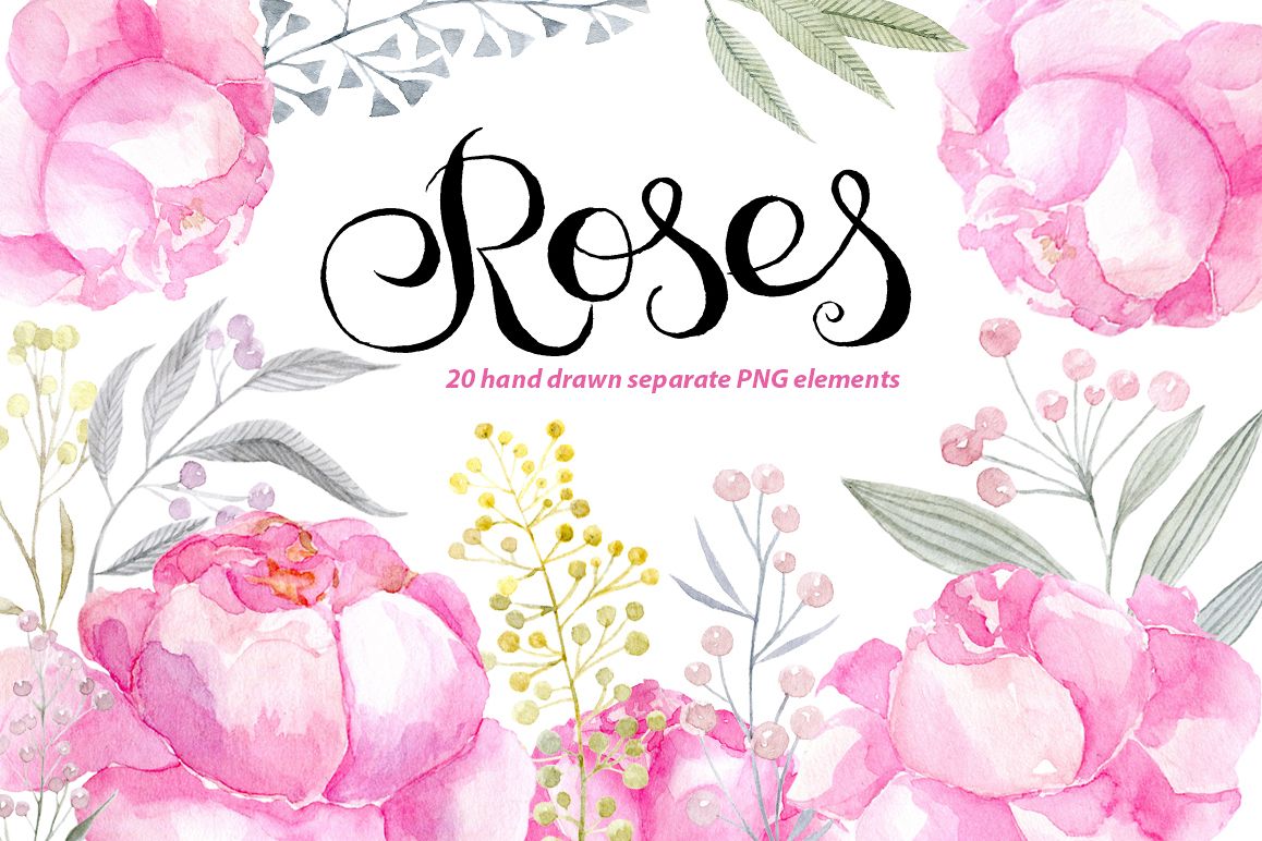 1158x772 Watercolor Pink Roses Png Clipart - Watercolor Pink Roses