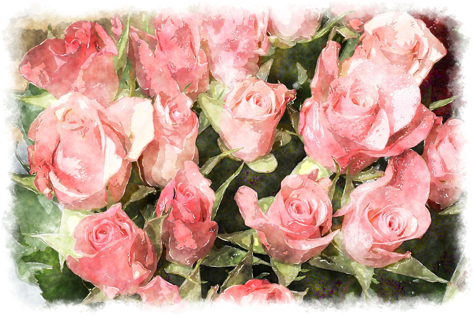 1920x1285 Pink Rose Bouquet Watercolor - Watercolor Pink Roses