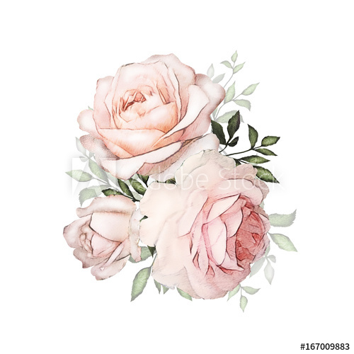 500x500 Watercolor Flowers. Floral Illustration In Pastel Colors. Bouquet - Watercolor Pink Roses