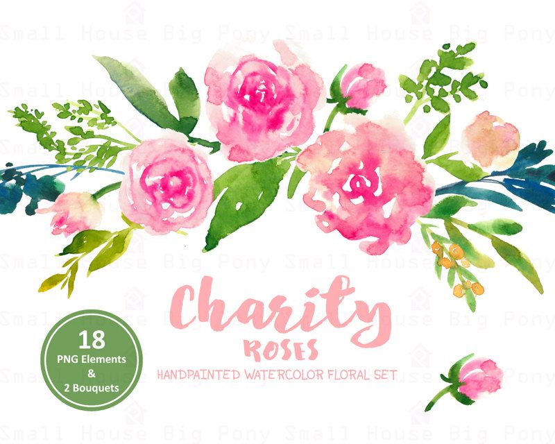 800x640 Digital Clipart Watercolor Flower Clipart, Pink Roses Clip Art - Watercolor Pink Roses