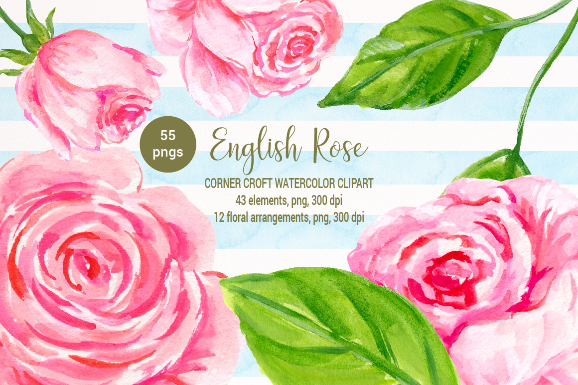 1160x772 English Rose Clipart, Watercolor Pink Rose By Cornercroft - Watercolor Pink Roses