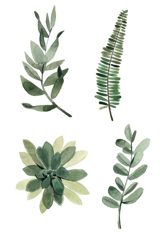 Watercolor Plants