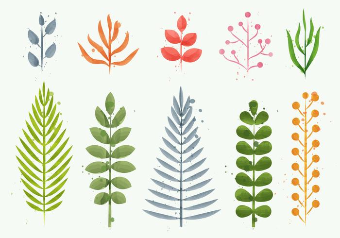 700x490 Floral Watercolor Plant Vectors - Watercolor Plants