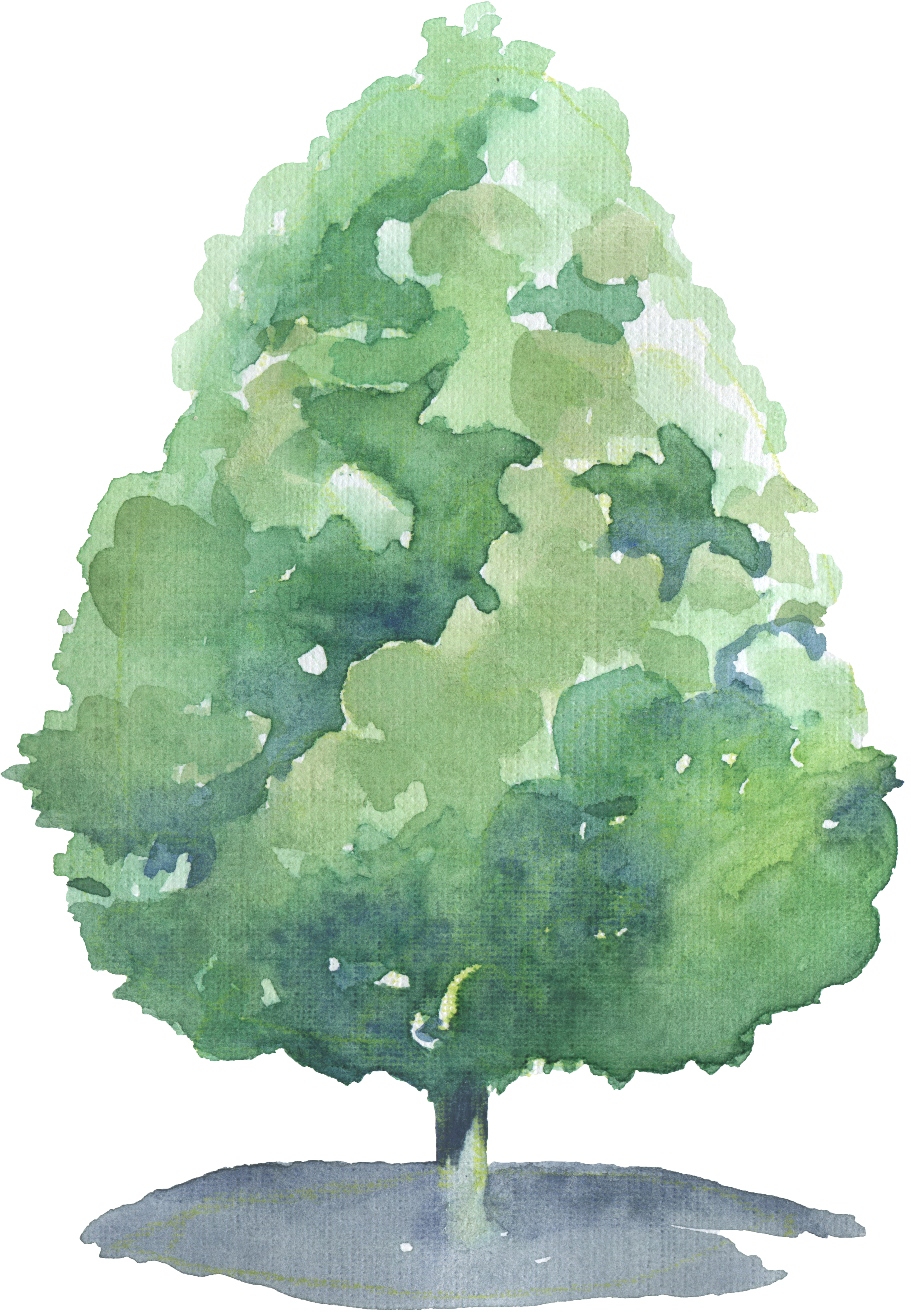 3840x5546 Fru Drusse - Watercolor Plants