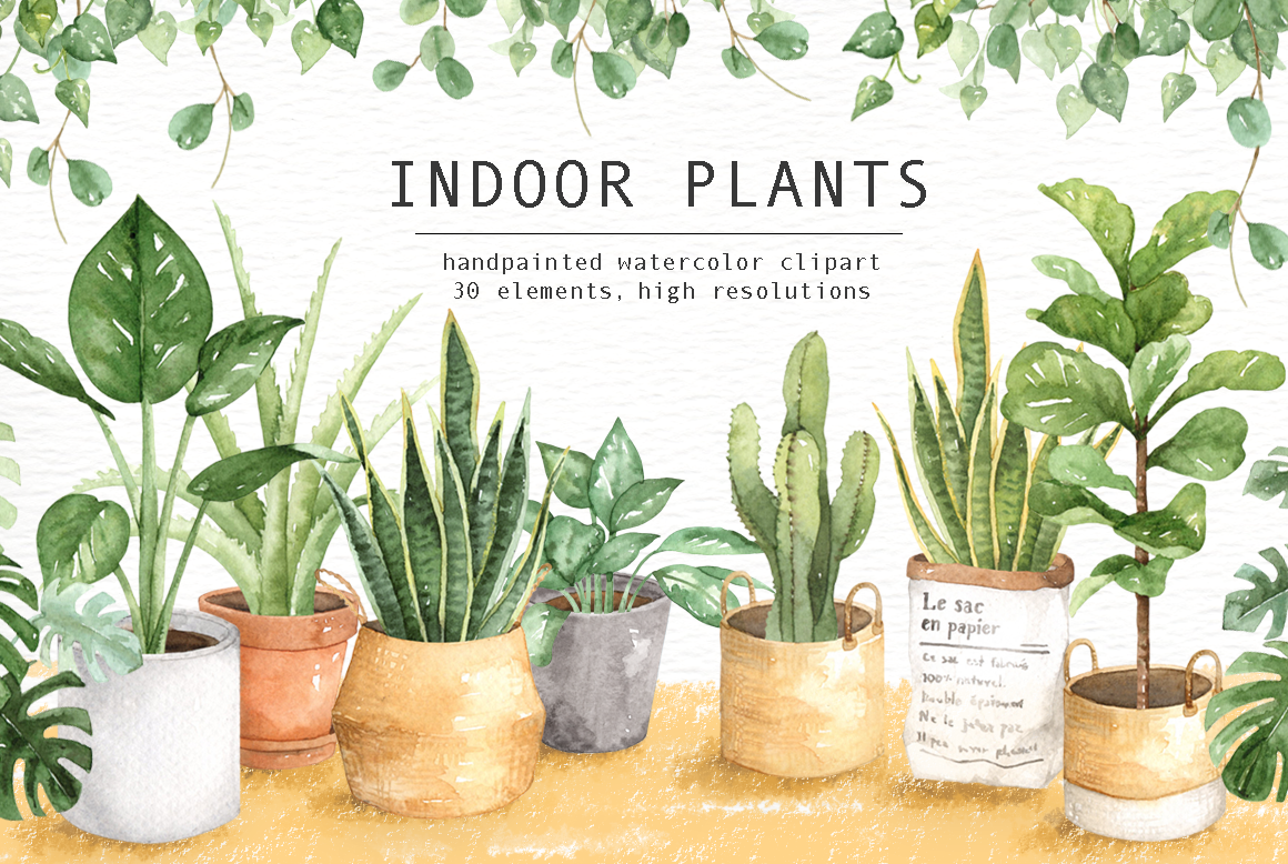 1160x778 Indoor Plants Watercolor Clipart By Everysunsun - Watercolor Plants