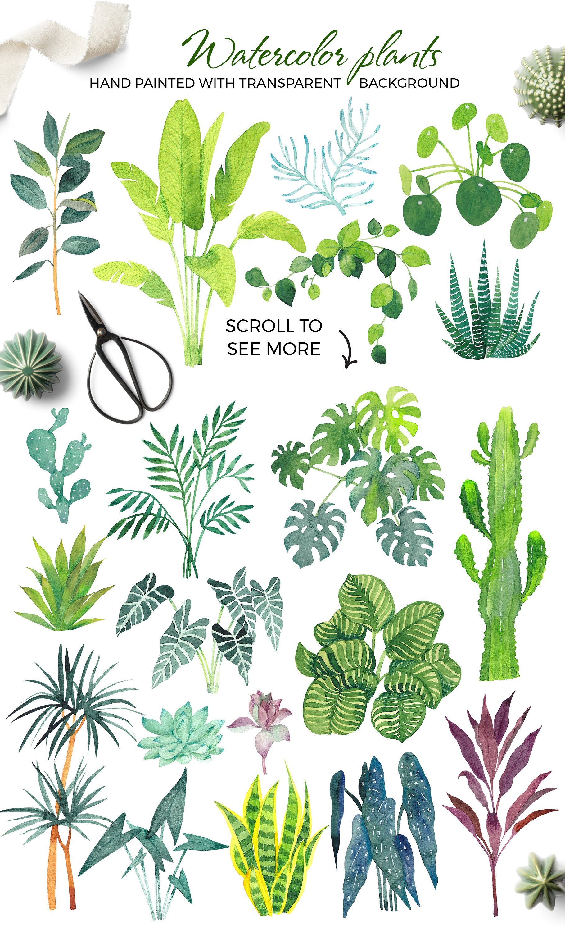 1820x3000 Pin By Maria Letta On My Creativemarket Shop In 2018 - Watercolor Plants