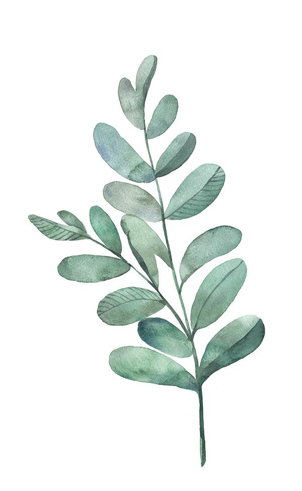 600x977 Watercolor - Watercolor Plants