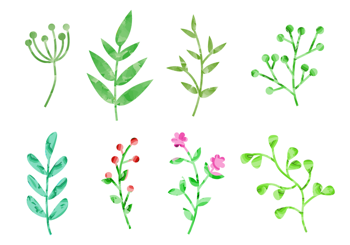 700x490 Watercolor Plants Vector - Watercolor Plants