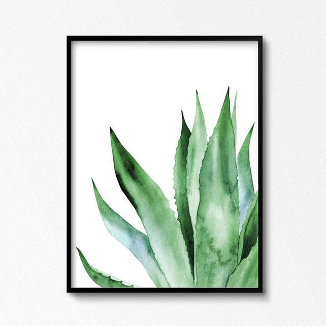 642x642 Agave Artwork. Agave Plant. Watercolor Plants. Leaves Art. Etsy - Watercolor Plants