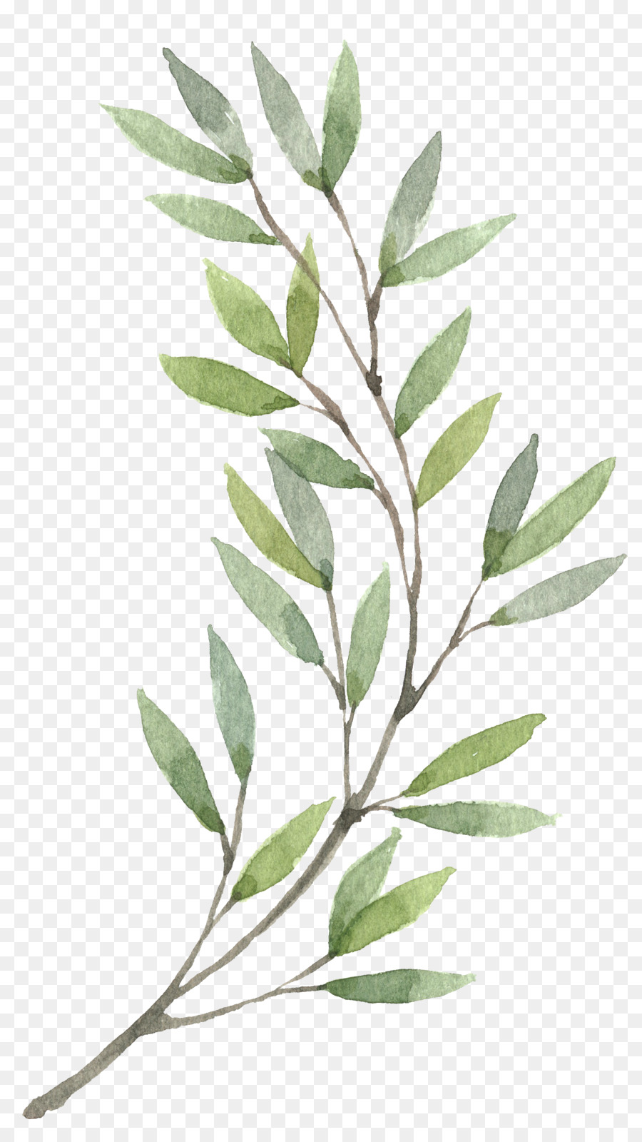 900x1600 Wreath Watercolor Painting Flower Clip Art - Watercolor Plants