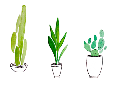 437x337 Watercolor Plants - Watercolor Plants