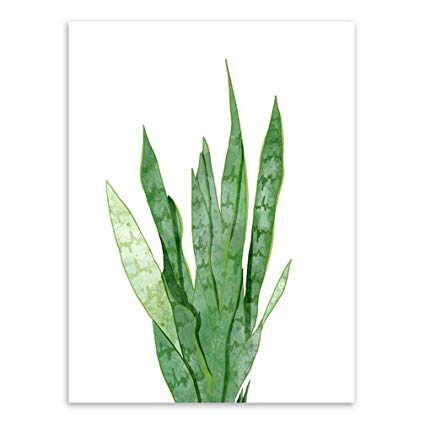 425x425 Ran, Art Fresh Watercolor Plants Canvas Art Print - Watercolor Plants