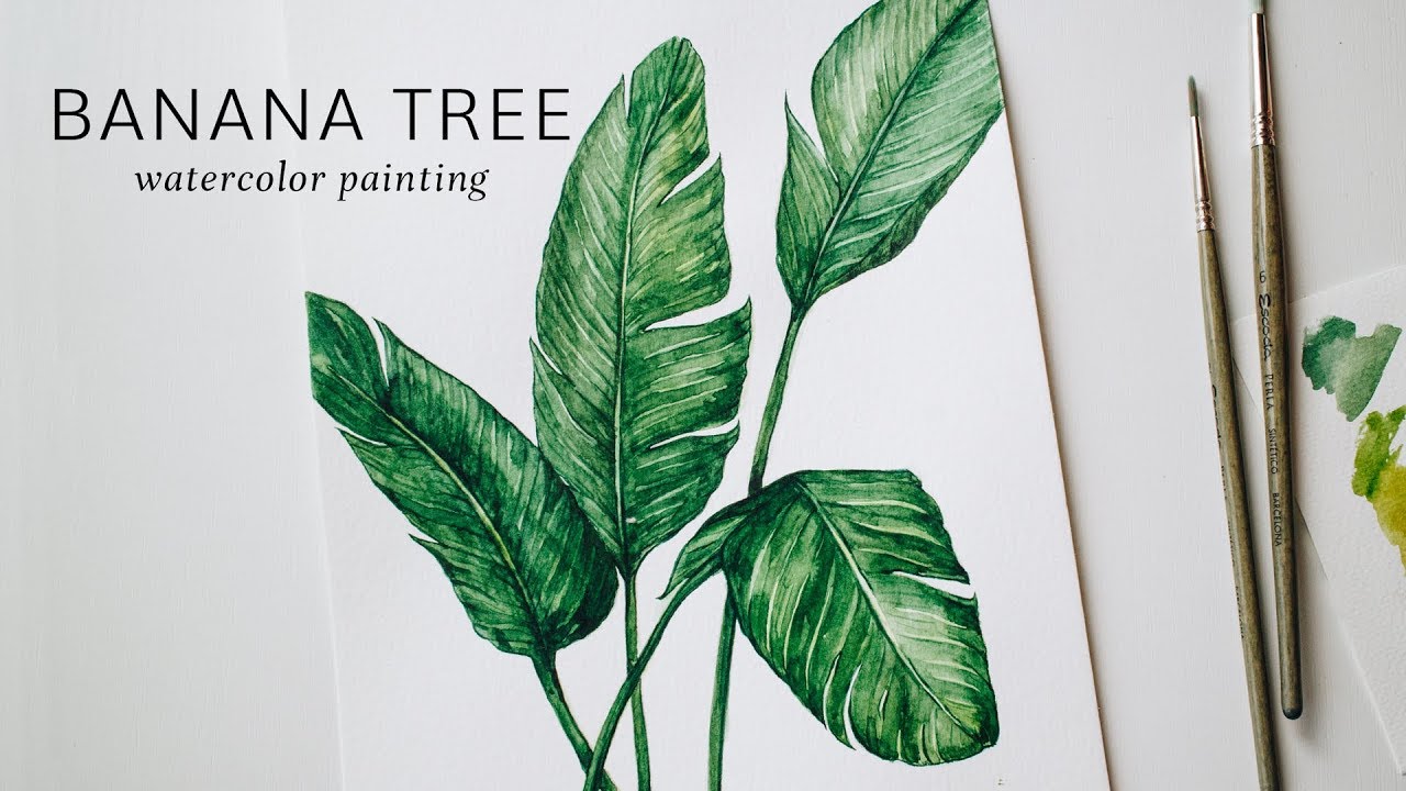 1280x720 Banana Tree Watercolor Painting Time Lapse House Plants - Watercolor Plants