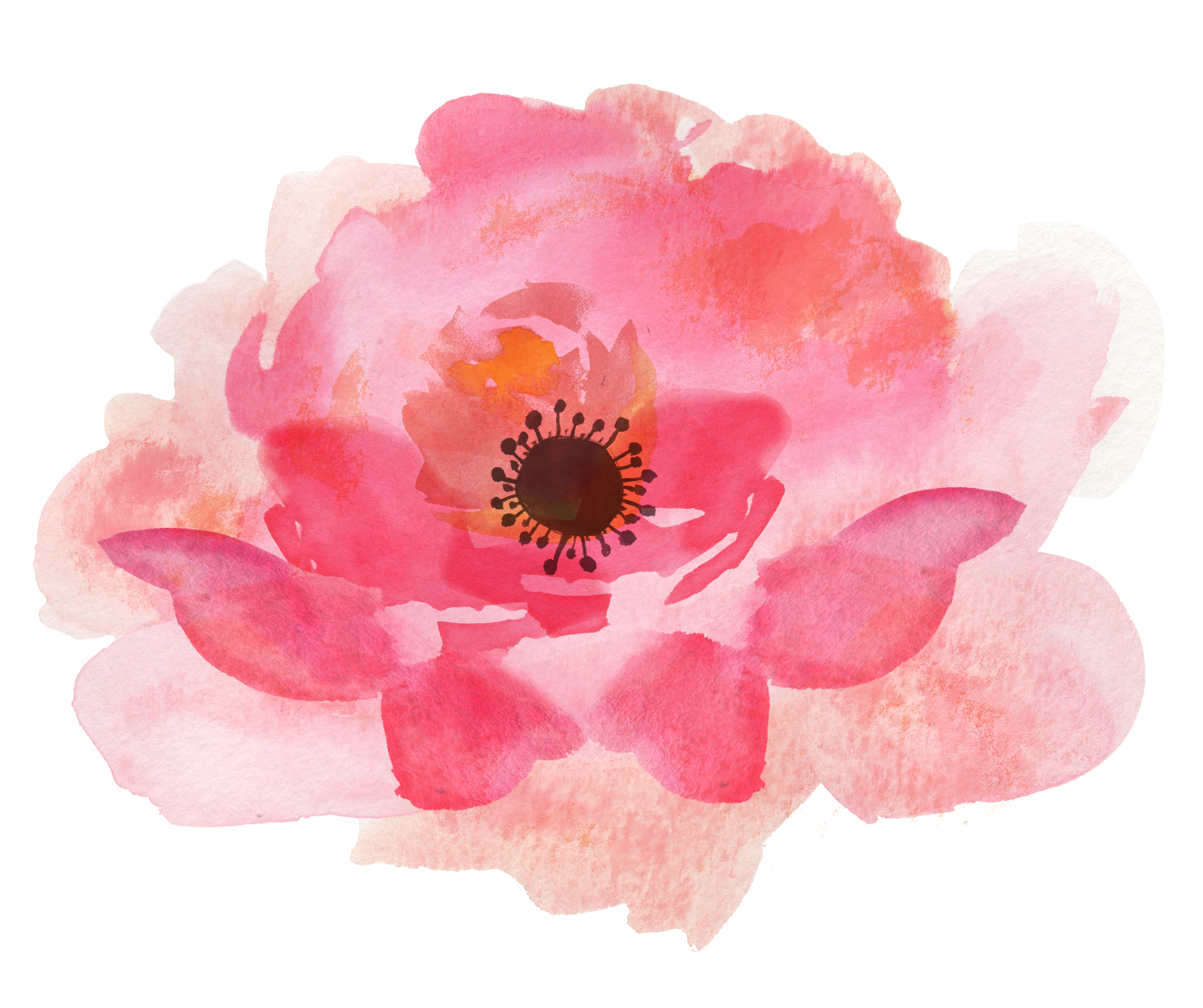 Watercolor Flowers Png At Explore Collection Of