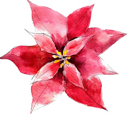 425x384 Pretty Beautiful Artistic Red Watercolor Poinsettia Cartoon Vinyl - Watercolor Poinsettia