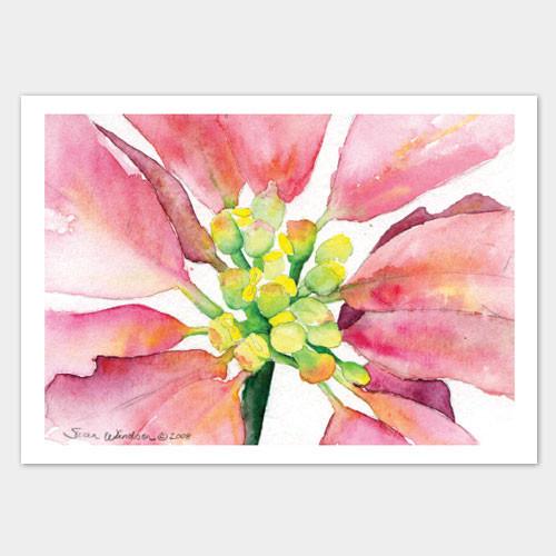 500x500 Watercolor Christmas Poinsettia Christmas Cards Set Susan Windsor - Watercolor Poinsettia