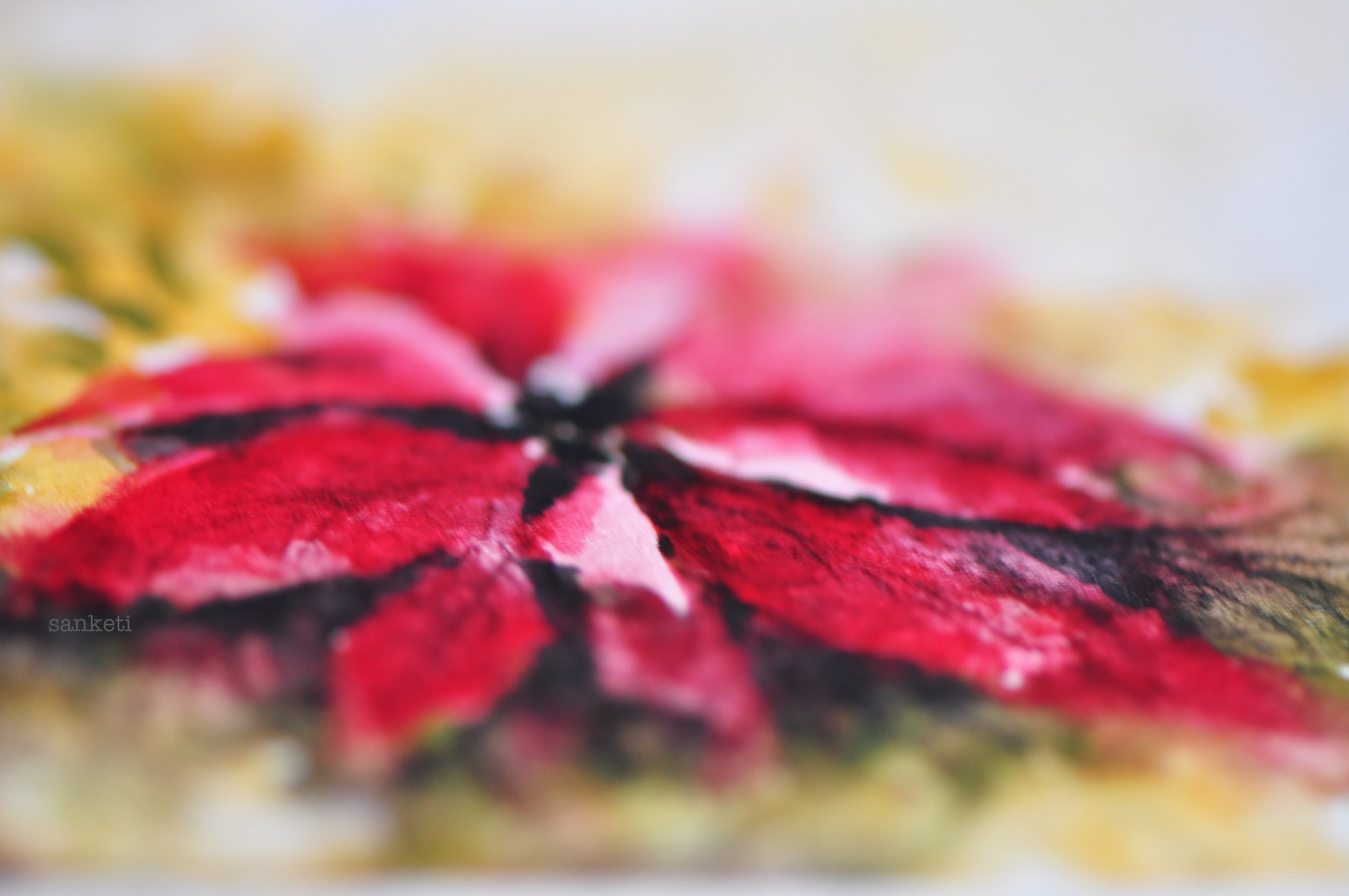 3000x1993 Watercolor Floral - Watercolor Poinsettia