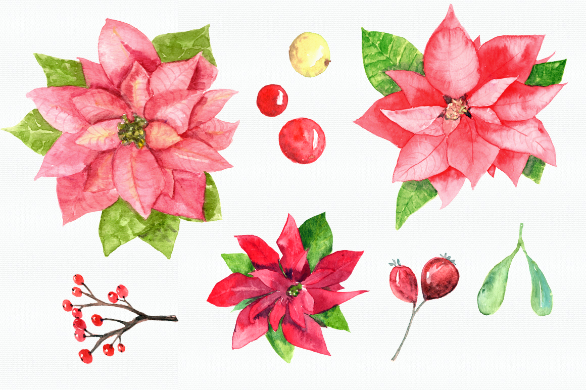 1160x772 Watercolor Poinsettia Clip Art Set - Watercolor Poinsettia