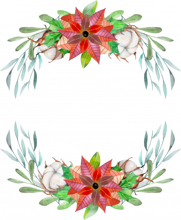 626x760 Watercolor Poinsettia And Cotton Flowers Vector Premium Download - Watercolor Poinsettia