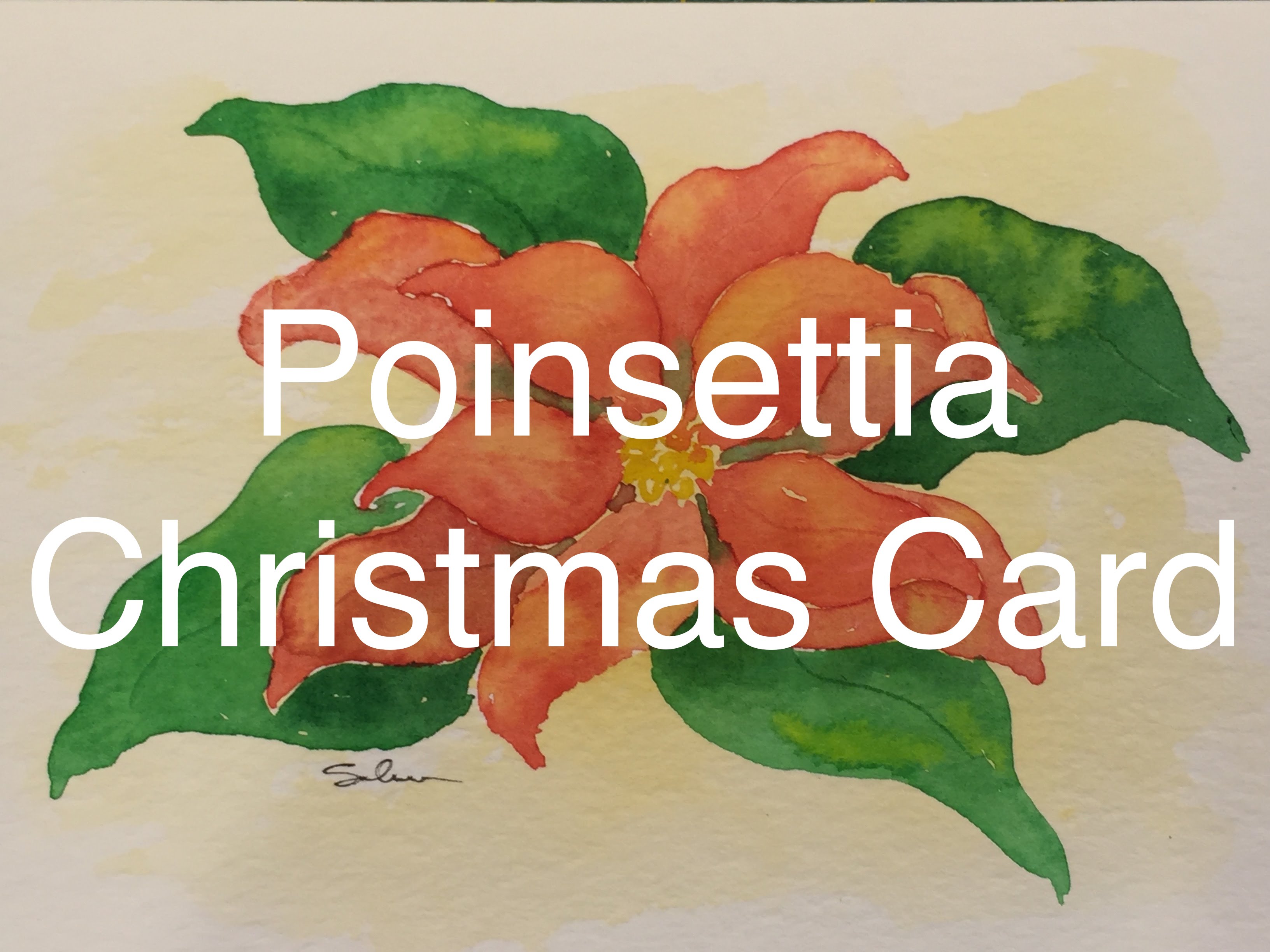 3264x2448 How To Paint A Poinsettia In Watercolour Watercolor Christmas Card - Watercolor Poinsettia Card