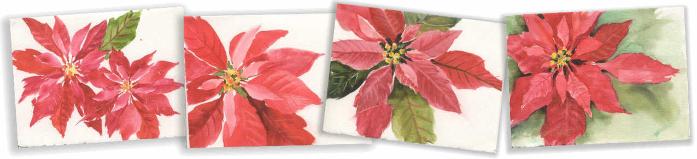697x159 Painting Poinsettias Watercolor Tips By Susie Short - Watercolor Poinsettia Card