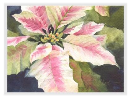 425x318 Poinsettia Watercolor Greeting Cards - Watercolor Poinsettia Card