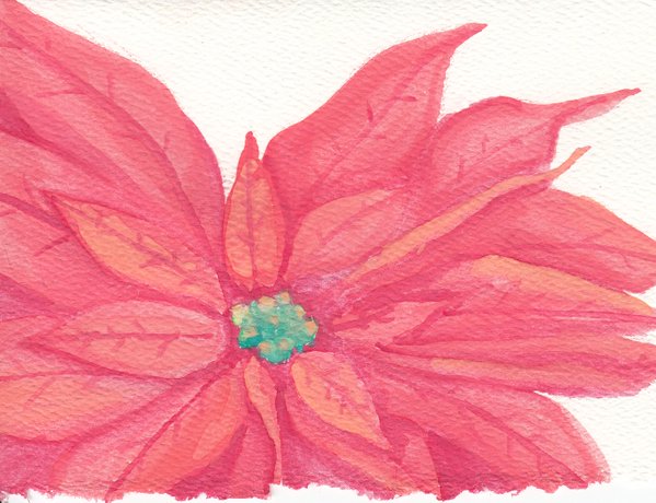 599x460 Watercolor Poinsettia Christmas Card By Marzarelo - Watercolor Poinsettia Card