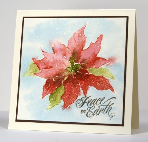 480x462 Watercolour Pointsettia Poinsettia, Watercolor And Cards - Watercolor Poinsettia Card