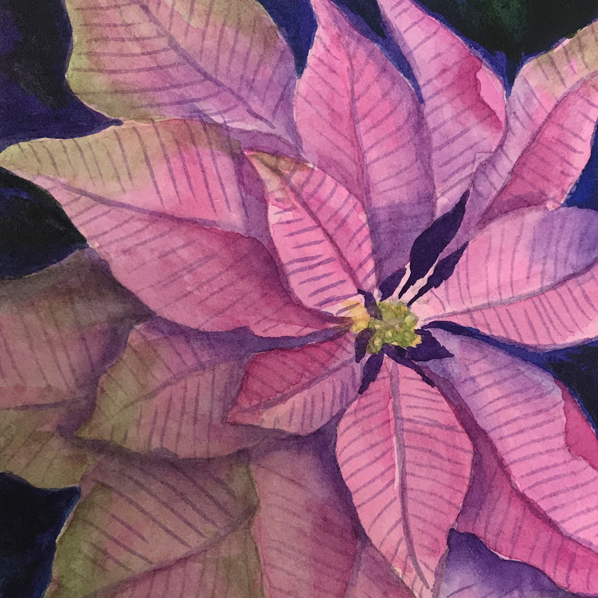 860x860 Decorative Painting Watercolor Greeting Card - Watercolor Poinsettia Card