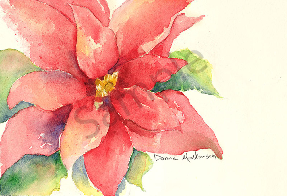 1000x685 Poinsettia Flower Watercolor Painting By Donna Mortensen. - Watercolor Poinsettia Flower