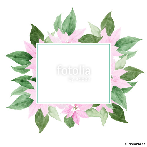 500x500 Poinsettia Flower. Christmas Star Watercolor. Hand Painted Sketch - Watercolor Poinsettia Flower