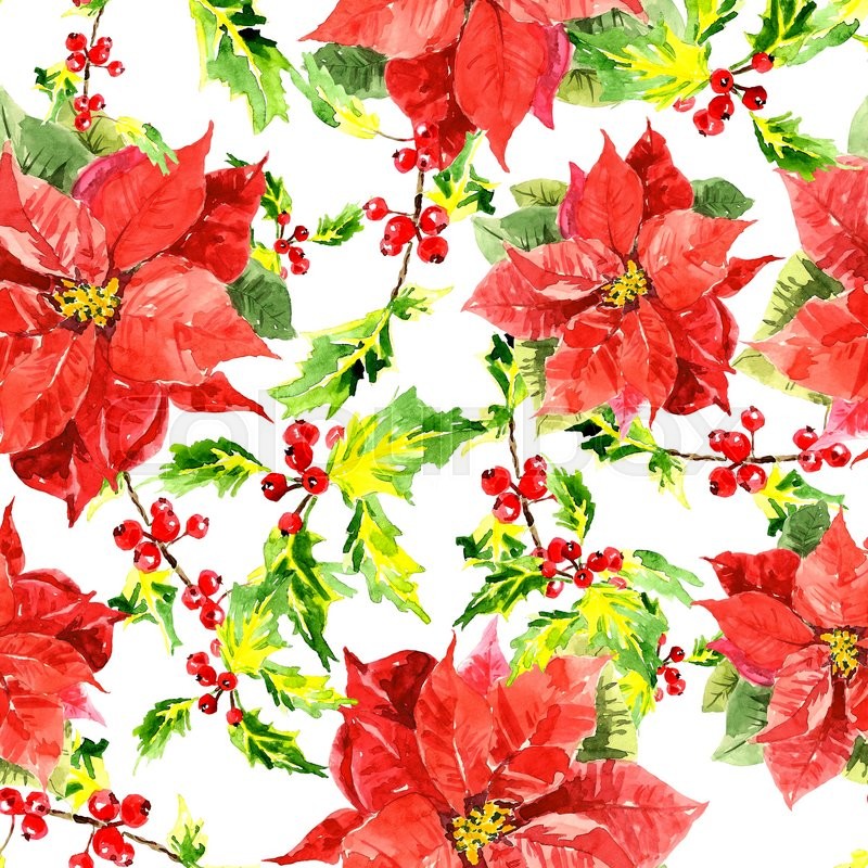 800x800 Watercolor Christmas Background With Leaves, Berries And Hibiscus - Watercolor Poinsettia Flower