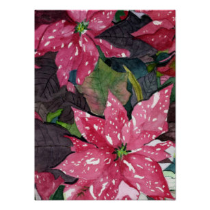 307x307 Watercolor Poinsettia Flower Art Amp Wall Zazzle - Watercolor Poinsettia Flower