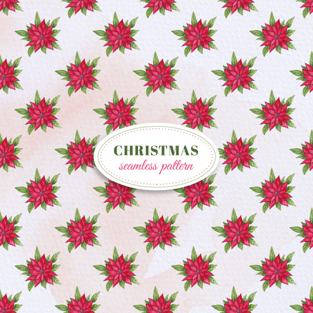 626x626 Watercolor Poinsettia Pattern Vector Premium Download - Watercolor Poinsettia Flower