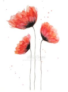 Red Poppy Watercolor at PaintingValley.com | Explore collection of Red ...