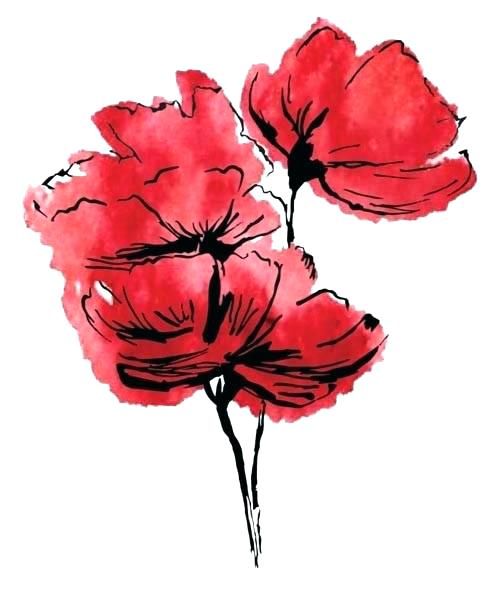 487x600 Watercolor Poppies Watercolor Poppies Floral Label Free Vector - Watercolor Poppy