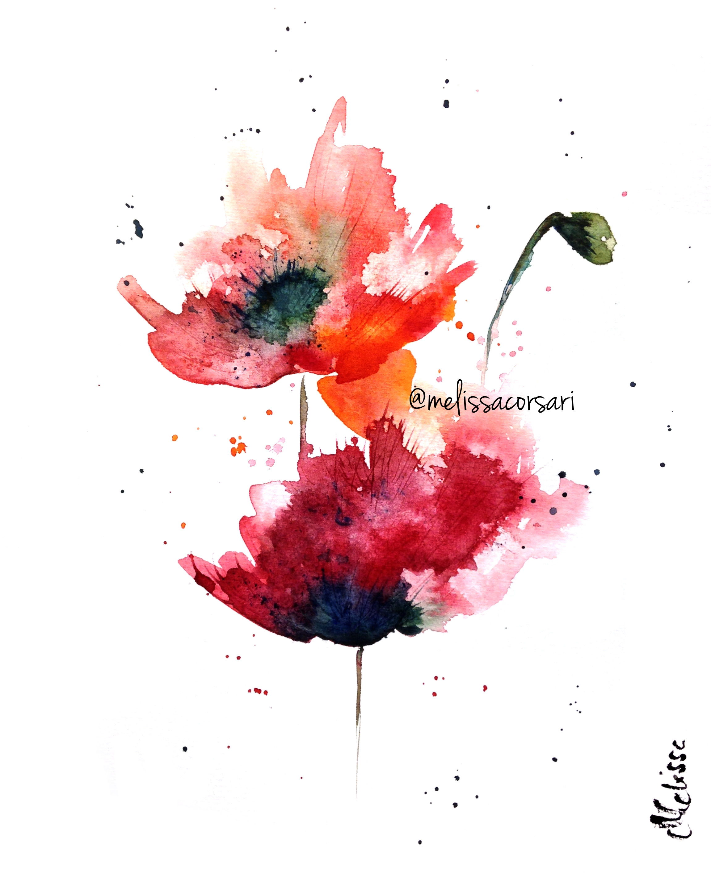 2302x2829 Watercolor Poppies - Watercolor Poppy