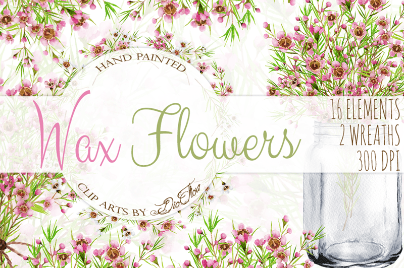 800x532 Black Cat Designs Presents Divine Watercolor Bundle From Pixelo - Watercolor Presents