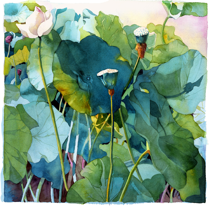 720x710 Watercolor Paintings Limited Edtion Prints - Watercolor Prints