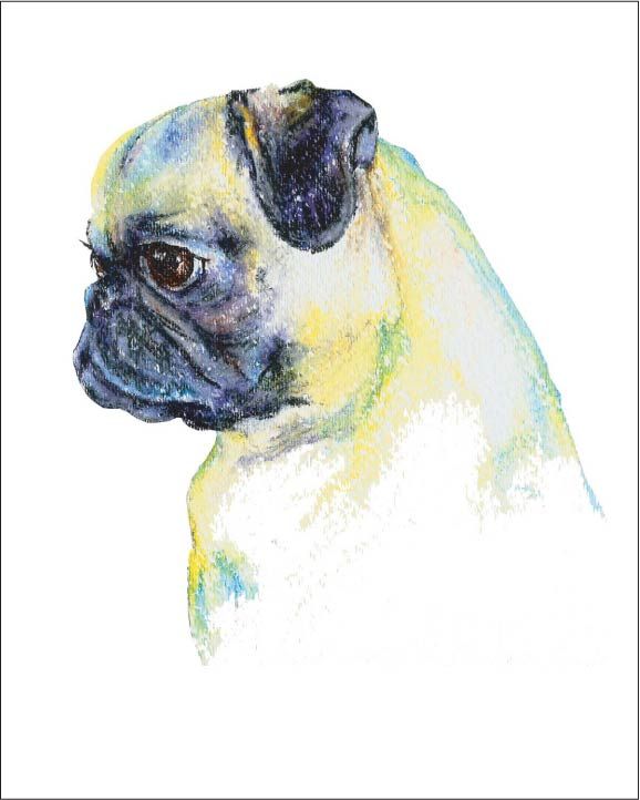 578x722 Pug Watercolor Art - Watercolor Pug