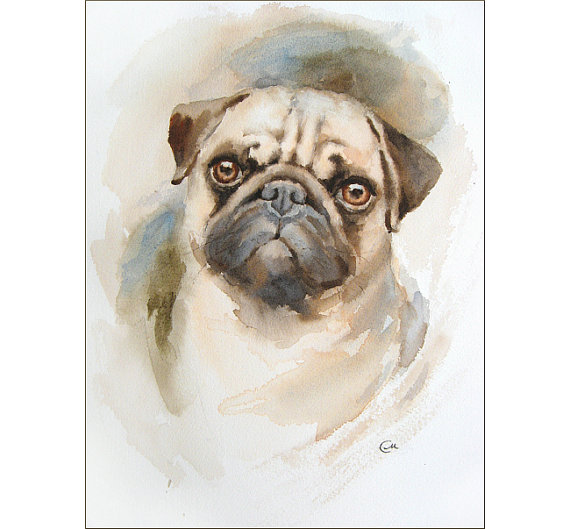 570x529 Watercolor Pug Portrait - Watercolor Pug