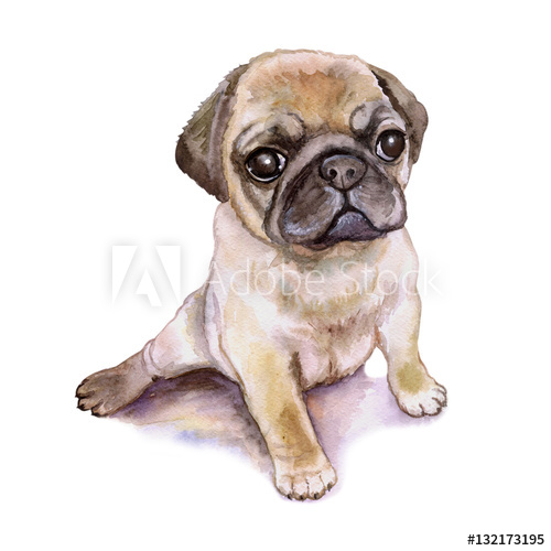 500x500 Watercolor Closeup Portrait Of Chinese Wrinkled Pug Dog Puppy - Watercolor Pug