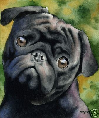 337x400 Black Pug Watercolor Painting Dog Art 8 X 10 Print Signed Artist - Watercolor Pug