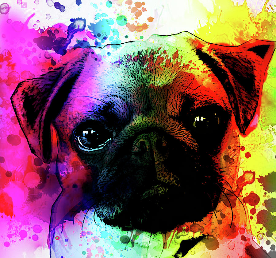 900x839 Giant Pug Watercolor Print Painting By Robert R Splashy Art - Watercolor Pug